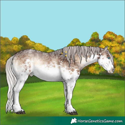 Horse Color:White Spotted Silver Brown Ice Onyx Sabino Splash 