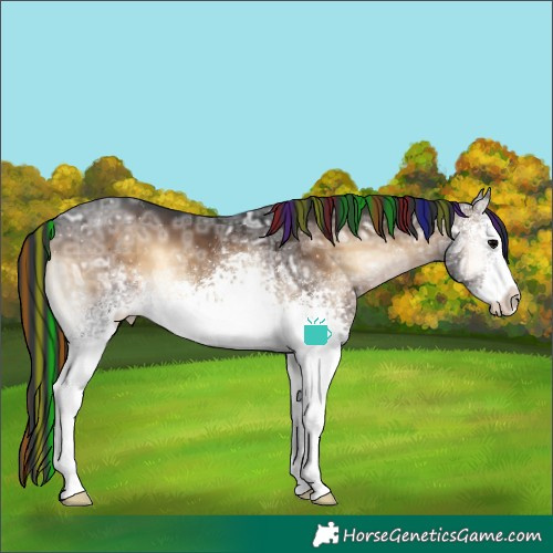 Horse Color:Painted White Spotted Brown Ice Onyx Sabino 