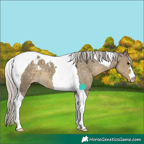 Horse Color:Silver Smoky Grullo Tobiano Varnish 