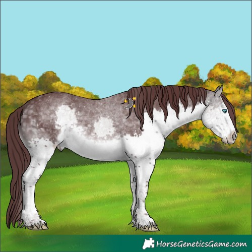 Horse Color:Platinum Chocolate Buckskin Sabino Splash
