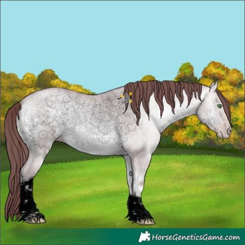 Horse Color:Void Platinum Chocolate Sable Cream Champagne Onyx Tobiano 