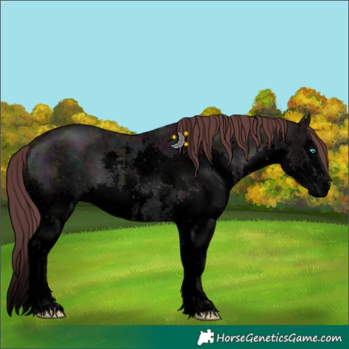 Horse Color:Void Platinum Midnight Chocolate Brown Ice Dun Sabino Splash 