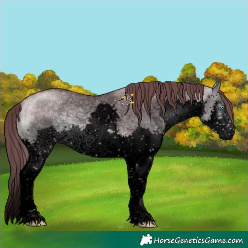Horse Color:Void Platinum Chocolate Buckskin Dun Sabino Splash