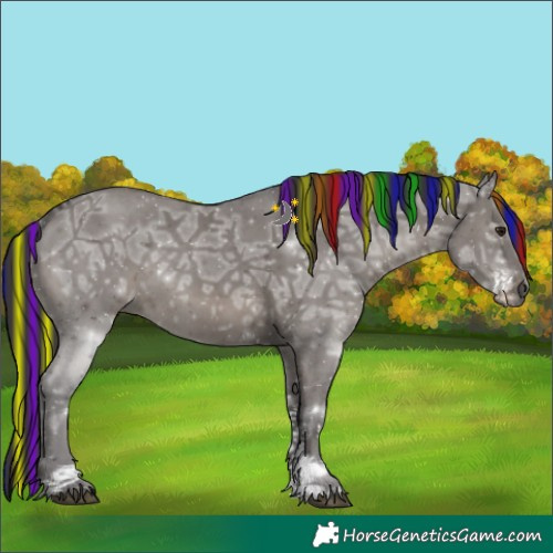 Horse Color:Painted Smoky Grullo Ice Sabino Rabicano