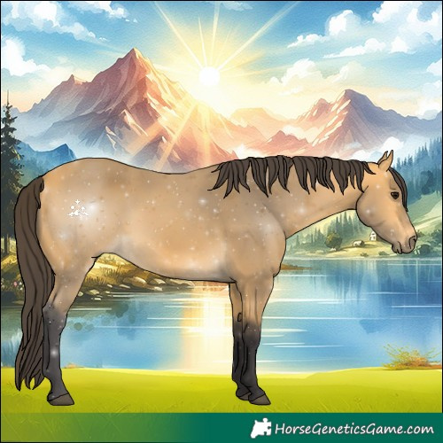 Horse Color:Buckskin 