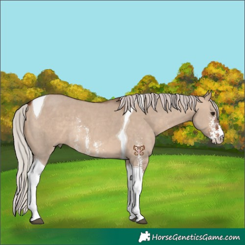 Horse Color:Silver Brown Dun Sabino Tobiano Rabicano
