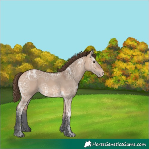 Horse Color:Bay Ice Dun Skewed Appaloosa 