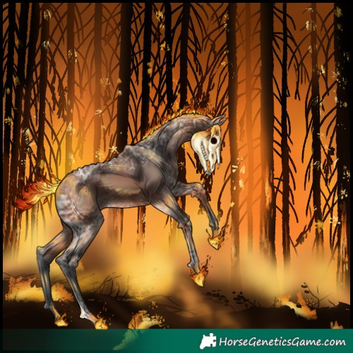 Horse Color:Bay Ice Tobiano 