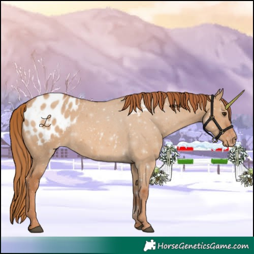 Horse Color:Red Dun Blanket