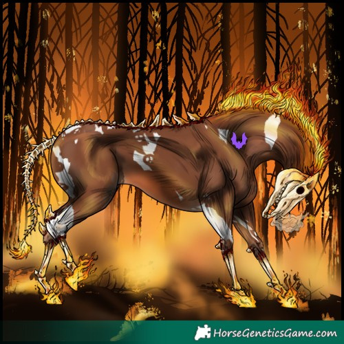 Horse Color:Chestnut Tobiano 