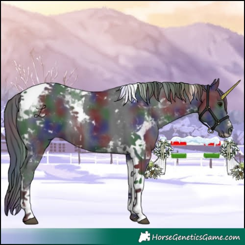 Horse Color:Nacre Black Tobiano