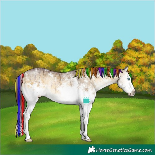 Horse Color:Painted White Spotted Chocolate Buckskin Ice Onyx Splash Brindle 