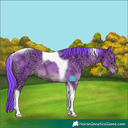 Horse Color:Watercolor Classic Champagne Ice Tobiano