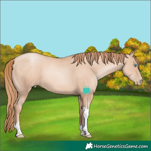 Horse Color:Gold Champagne Pearl Tobiano Rabicano 