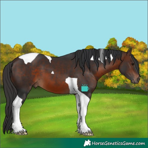 Horse Color:Brown Tobiano 