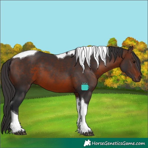 Horse Color:Brown Tobiano 