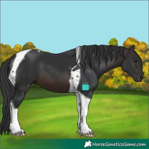 Horse Color:Brown Tobiano