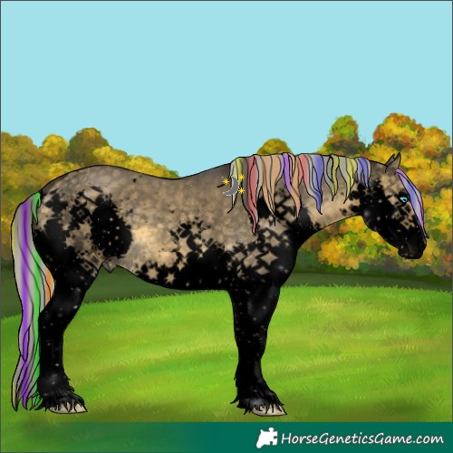 Horse Color:Void Painted White Spotted Silver Buckskin Dun Splash 