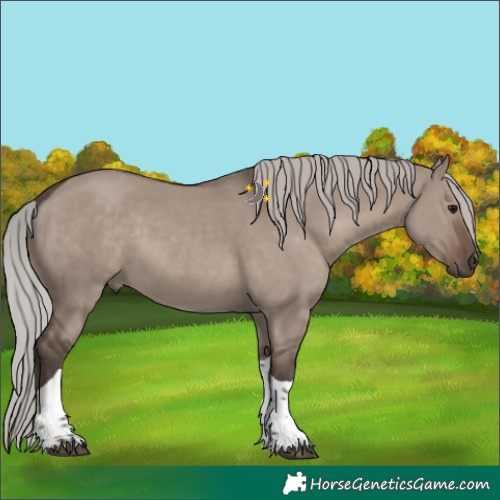 Horse Color:Silver Grullo Mushroom Tobiano 
