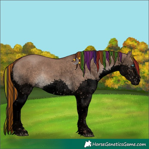 Horse Color:Void Painted Liver Red Dun Sabino Splash 