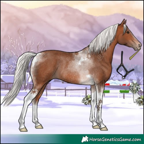 Horse Color:Silver Brown Tobiano Rabicano 