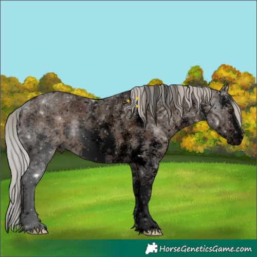 Horse Color:Void Silver Brown Ice Dun Sabino Snowflake Varnish