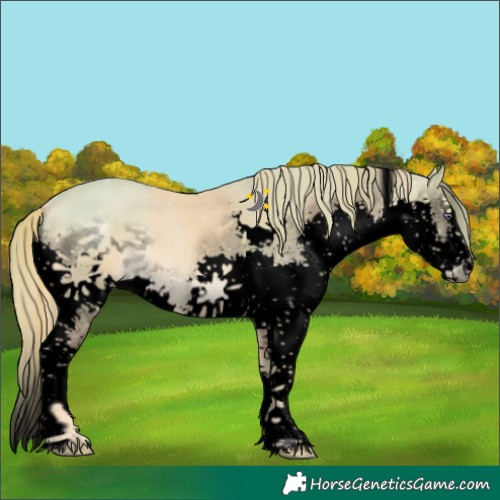 Horse Color:Void Watercolor Liver Chestnut Chinchilla Splash Tobiano 