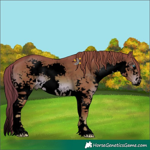 Horse Color:Void Watercolor Liver Chestnut Sabino Splash