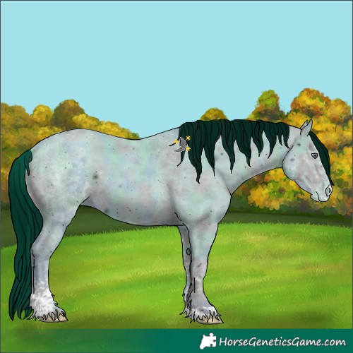Horse Color:ERROR: UNKNOWN ANOMALY