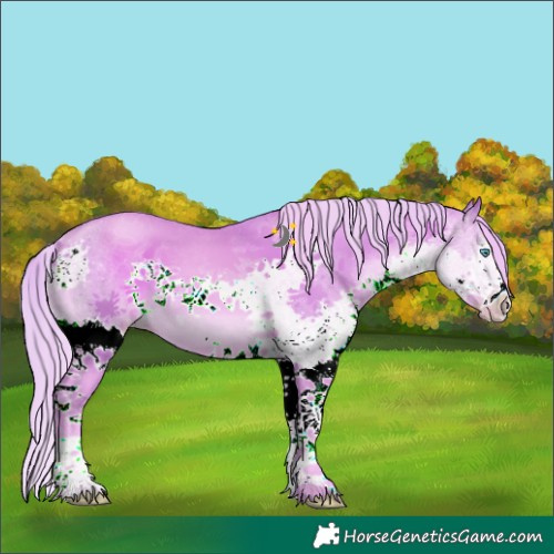 Horse Color:Watercolor Gold Champagne Sabino Splash 
