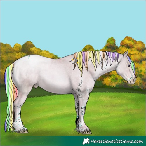 Horse Color:Painted Watercolor White Spotted Silver Classic Cream Champagne Chinchilla Pearl Tobiano 