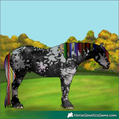 Horse Color:Void Painted Watercolor White Spotted Silver Sable Champagne Chinchilla Sabino Splash Rabicano 