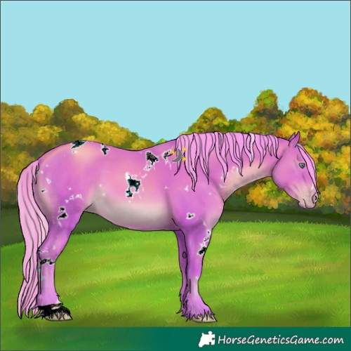 Horse Color:Watercolor White Spotted Gold Champagne