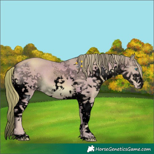Horse Color:Void Watercolor Gold Champagne Sabino Splash 