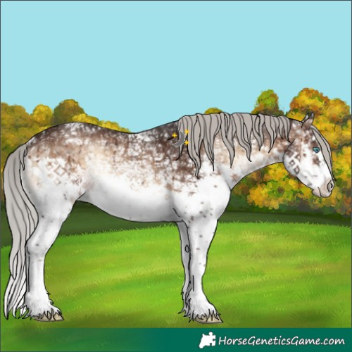 Horse Color:White Spotted Silver Brown Ice Onyx Splash 