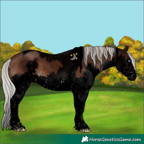 Horse Color:Void Silver Brown Sabino Splash Tobiano