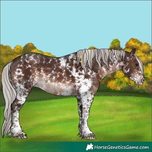 Horse Color:Silver Brown Sabino
