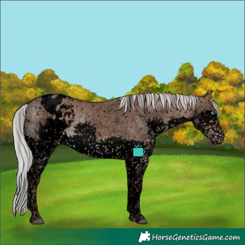 Horse Color:Void Silver Brown Dun Sabino Splash Tobiano Blanket Rabicano Brindle 
