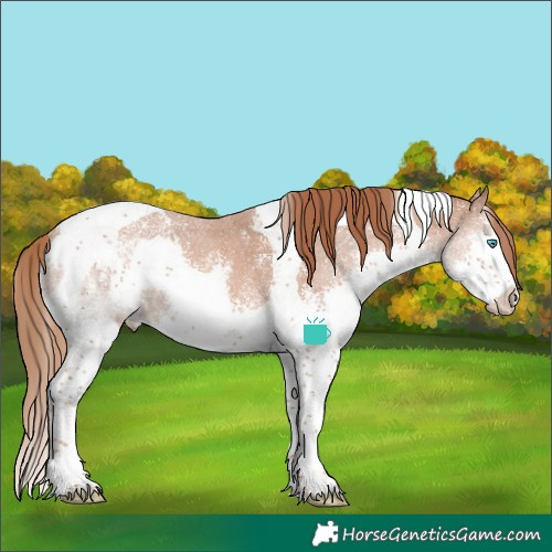 Horse Color:Chestnut Sabino Splash Tobiano Varnish 
