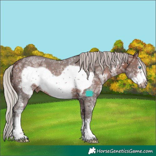 Horse Color:Silver Brown Ice Sabino Frame 