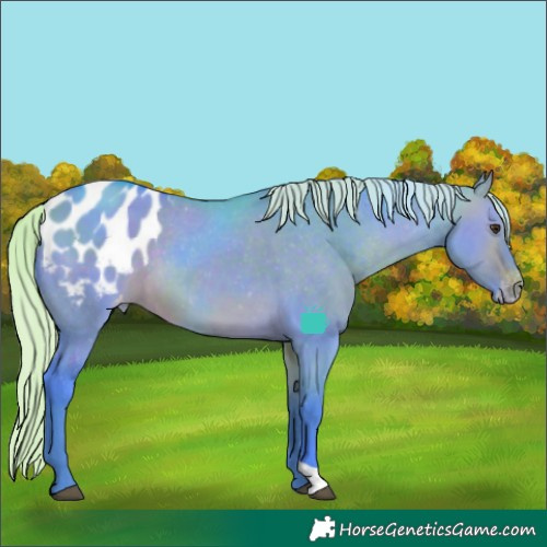 Horse Color:Watercolor Silver Brown Dun Blanket 