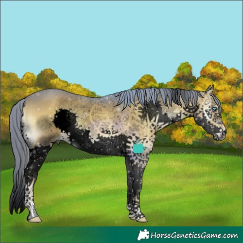 Horse Color:Void Watercolor Liver Red Onyx Sabino Splash 