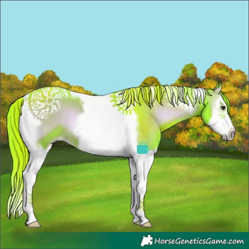 Horse Color:Watercolor Liver Red Onyx Splash Tobiano Frame Rabicano 
