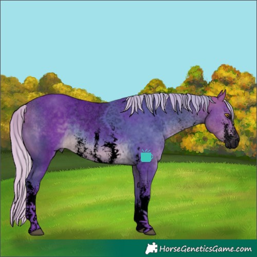 Horse Color:Void Watercolor Silver Buckskin Sabino 