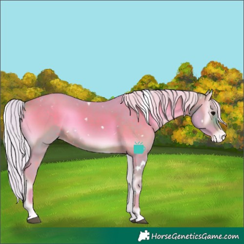 Horse Color:Watercolor White Spotted Silver Brown Onyx Appaloosa Rabicano