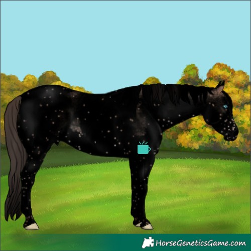 Horse Color:Void White Spotted Sable Champagne Splash Tobiano 
