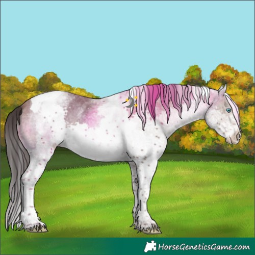 Horse Color:White Spotted Sable Champagne Splash Tobiano