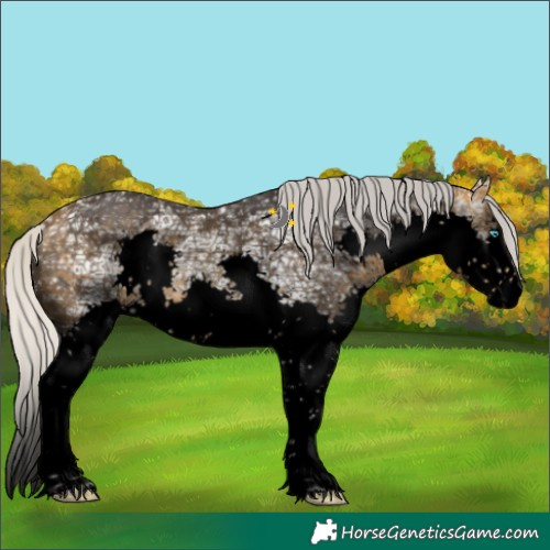 Horse Color:Void Silver Buckskin Ice Sabino Splash 