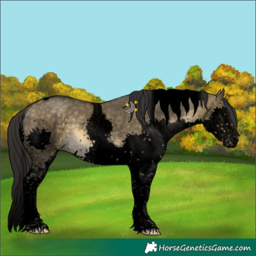 Horse Color:Void Buckskin Dun Splash Tobiano 