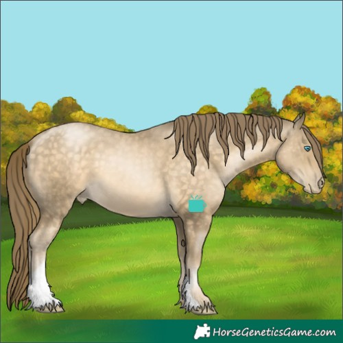 Horse Color:Buckskin Pearl